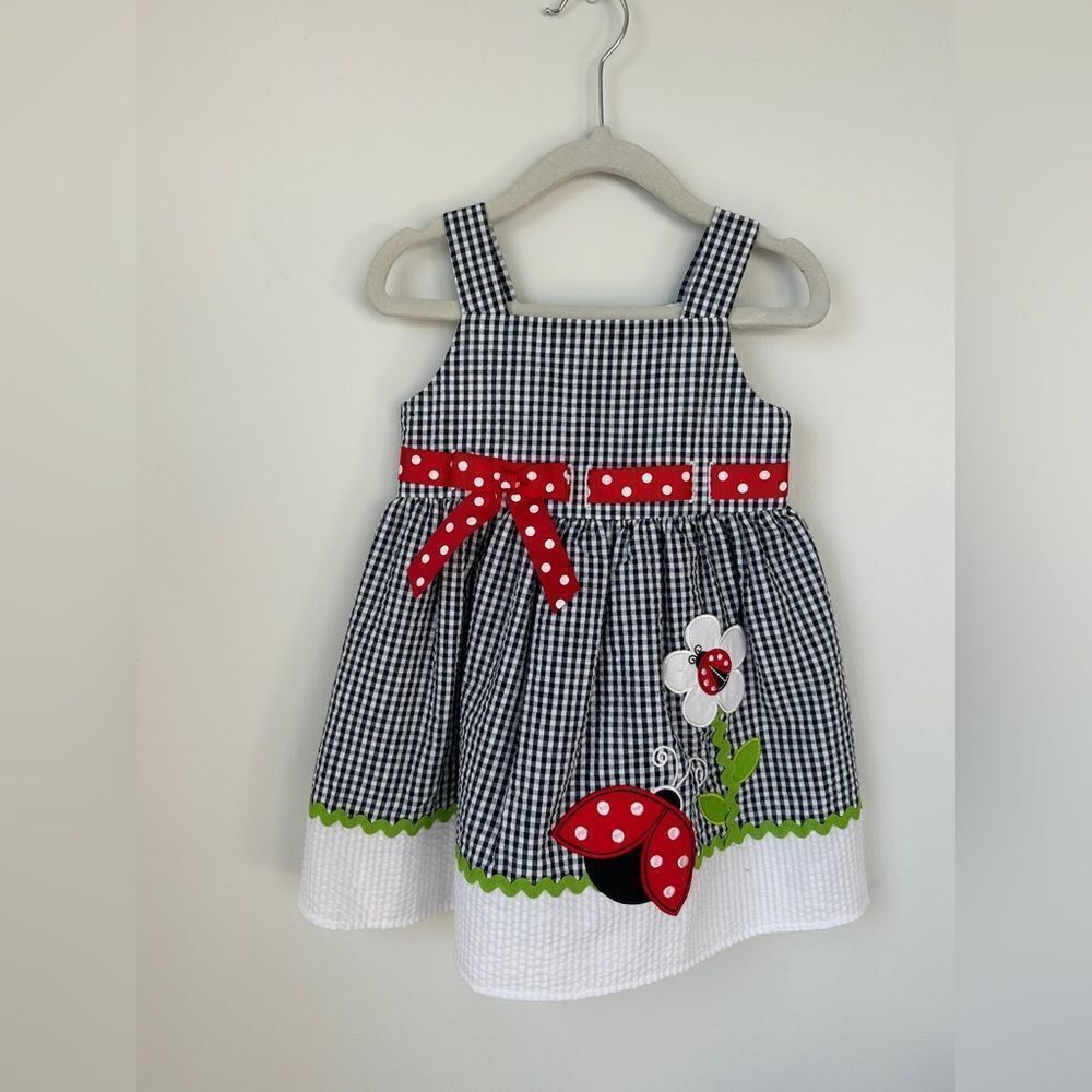 Rare Editions Toddler Girl Ladybug Seersucker Dress 2T